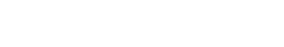 POWER STEERING PUMP PULLEYS